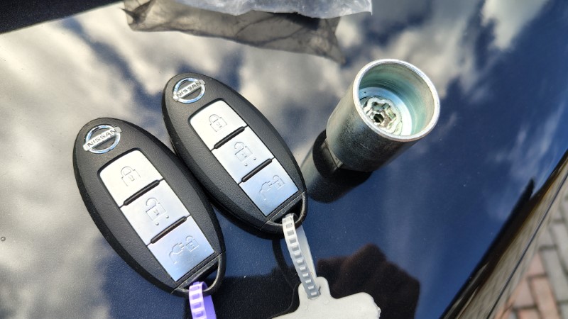 Leaf Tekna 2020 Service Records (2)